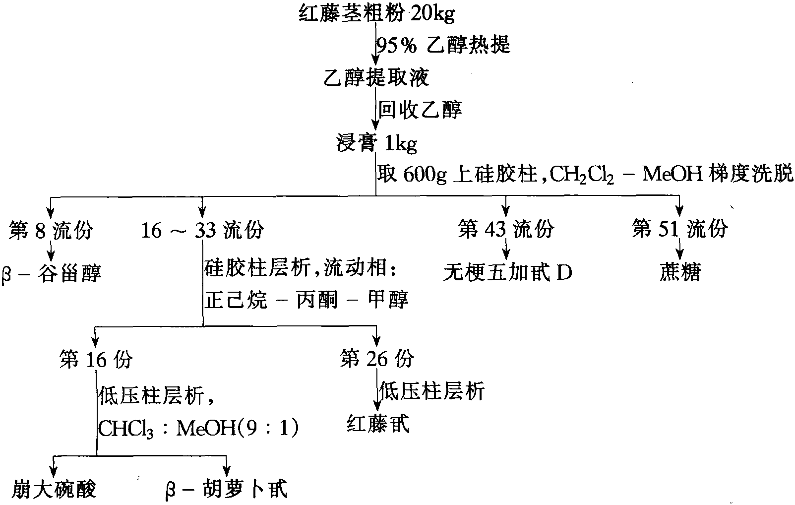 10 大血藤